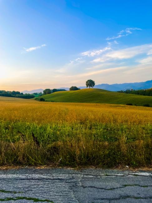 Aperte le iscrizioni alla Granfondo del Mugello GRAVEL