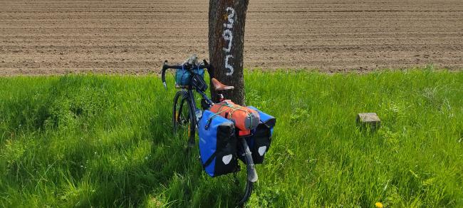 Presentazione del libro 